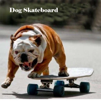 POPDOG Играчки за домашни любимци, кучешки скейтборд, Забавно обзавеждане за тренировка на мозъка на кучета за малки/средни/големи кучета, Спортни скейтбордове на открито