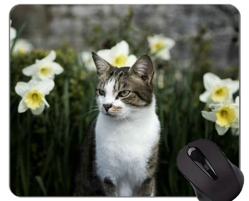 Подложка за мишка с прошитым ръба, подложка за мишка на неподвижни гумена основа с цвете нарцис за домашни любимци