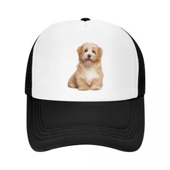 Пънк-Кавайная бейзболна шапка за домашни Кучета Shih Дзъ за Мъже И Жени, Регулируем Шапка на шофьор на камион, Слънчеви Шапки възстановяване на предишното положение, Летни Шапки S